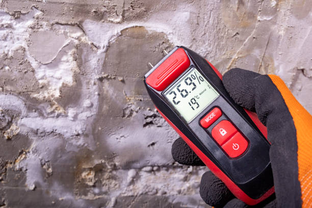 Best Mold Damage Repair  in Hurstbourne, KY