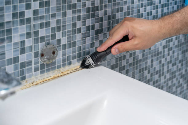 Best Local Mold Removal Service  in Hurstbourne, KY