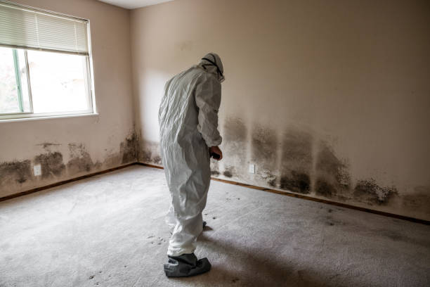 Crawl Space Mold Removal in Hurstbourne, KY