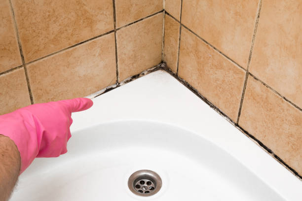 Certified Mold Removal in Hurstbourne, KY